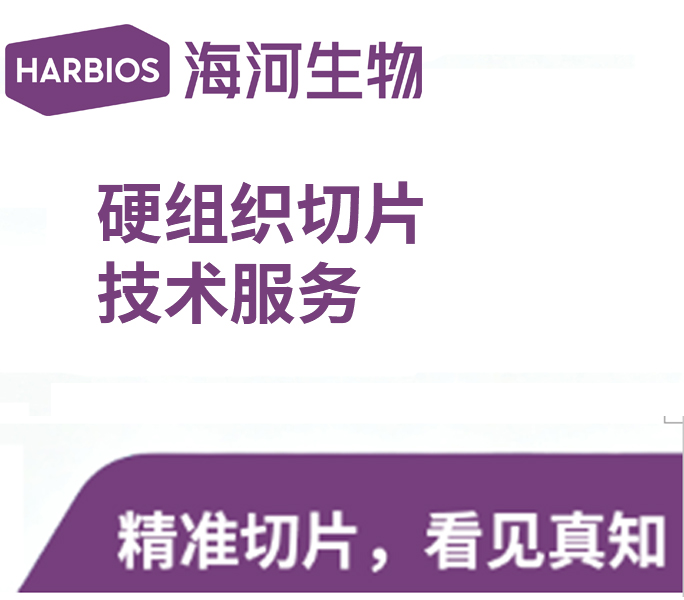 硬组织切片技术服务